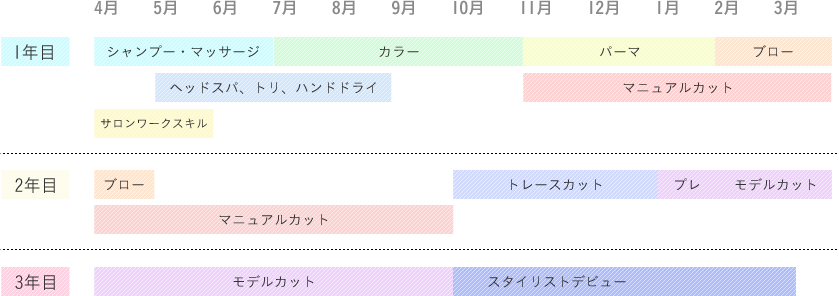 ヘアスタイリストの教育課程